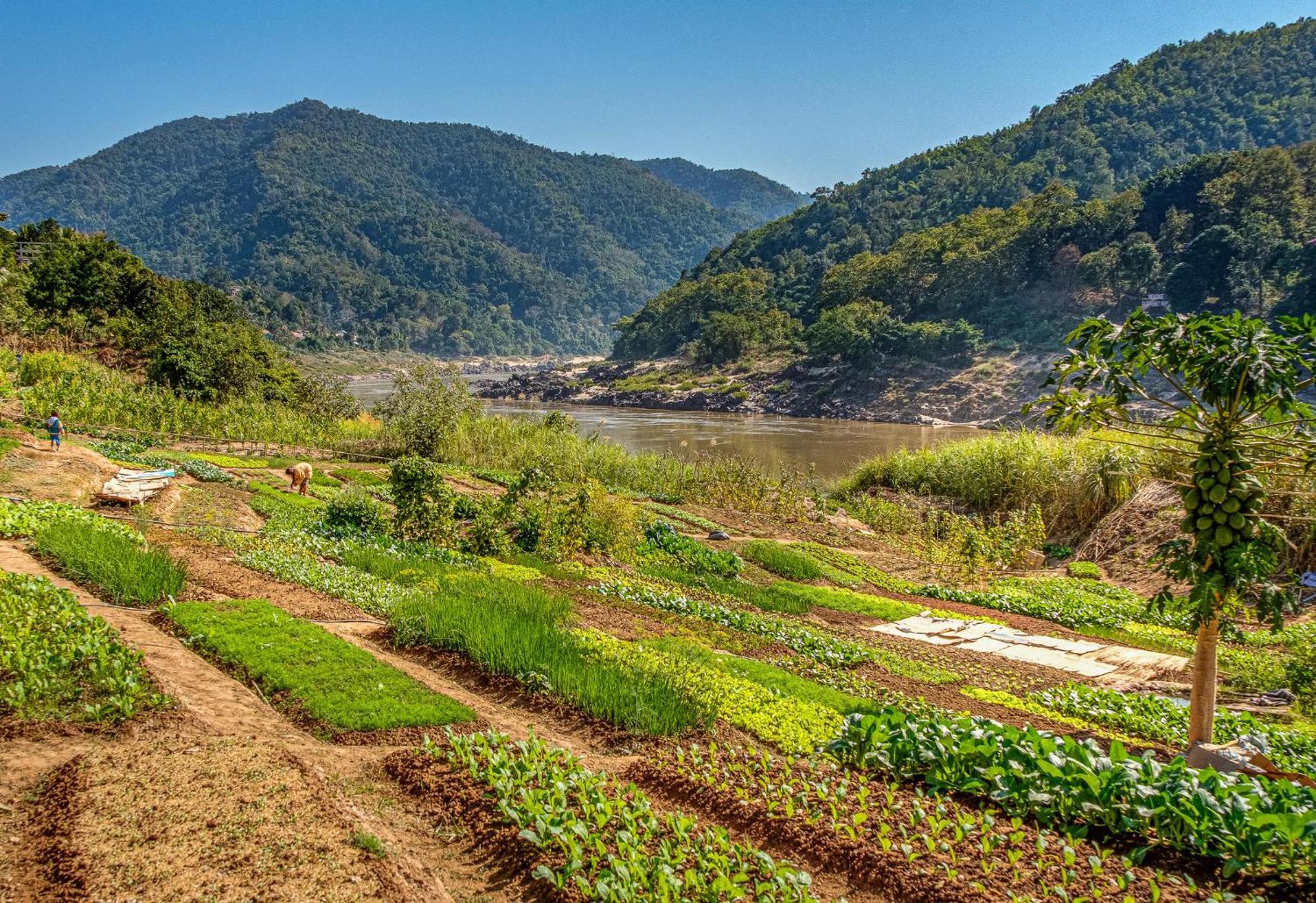 The Sanctuary Pakbeng Lodge Εξωτερικό φωτογραφία