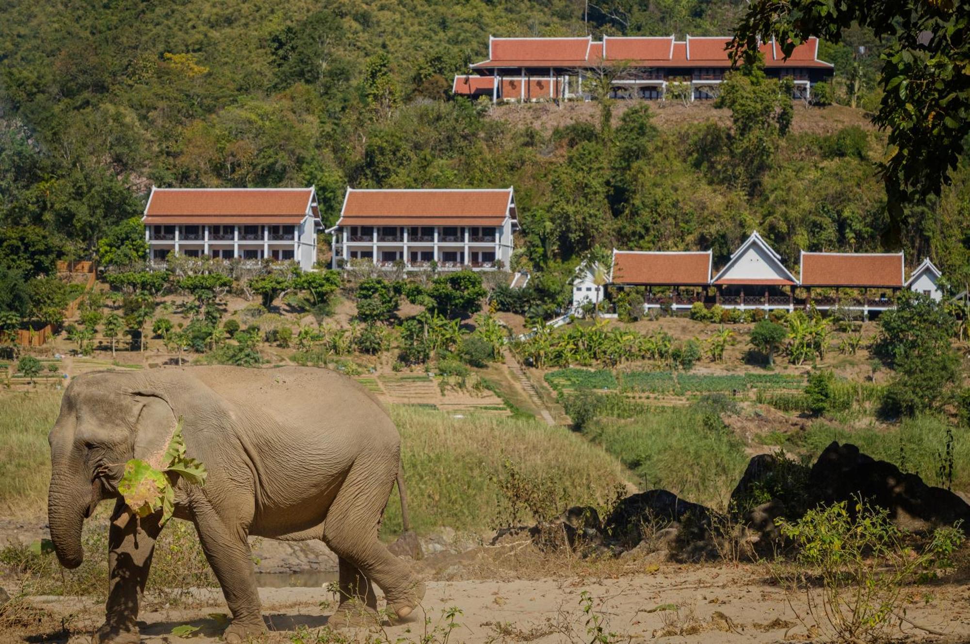 The Sanctuary Pakbeng Lodge Εξωτερικό φωτογραφία